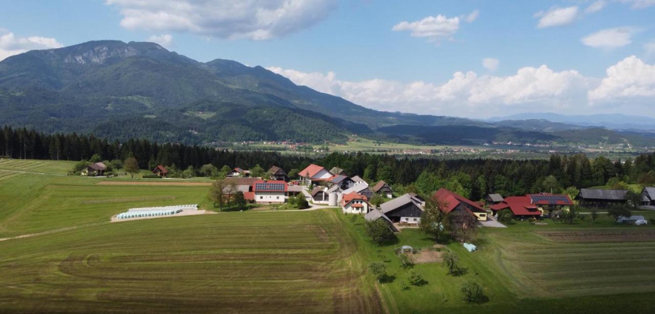 Apartment With Mountain View And Rivers Close By Smartno ob Dreti Екстериор снимка